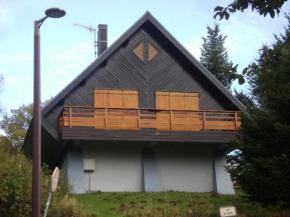 Chalet typique près des pistes avec cheminée et parking privé - FR-1-814-31